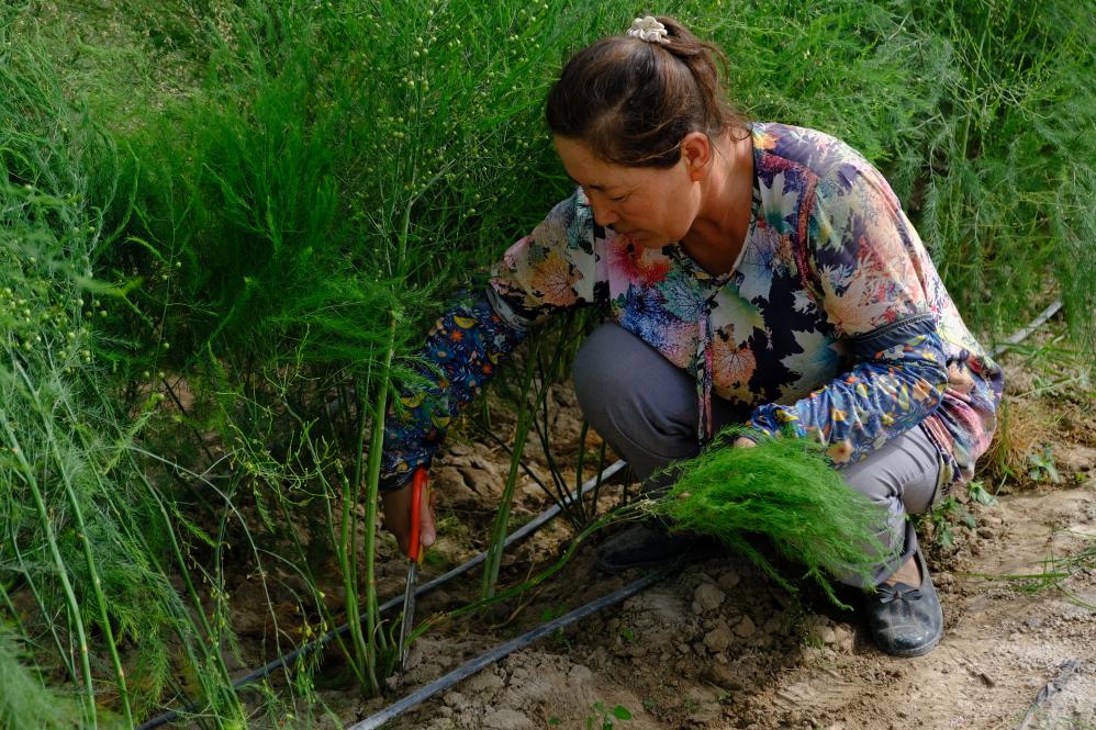 无码人妻少妇色欲AV一区二区