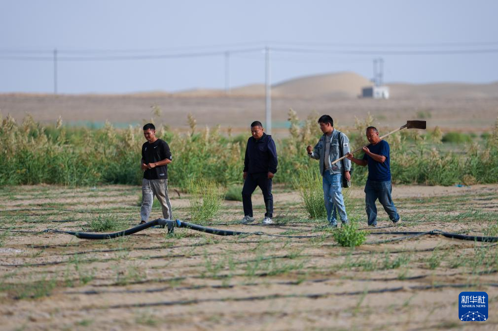 无码人妻少妇色欲AV一区二区