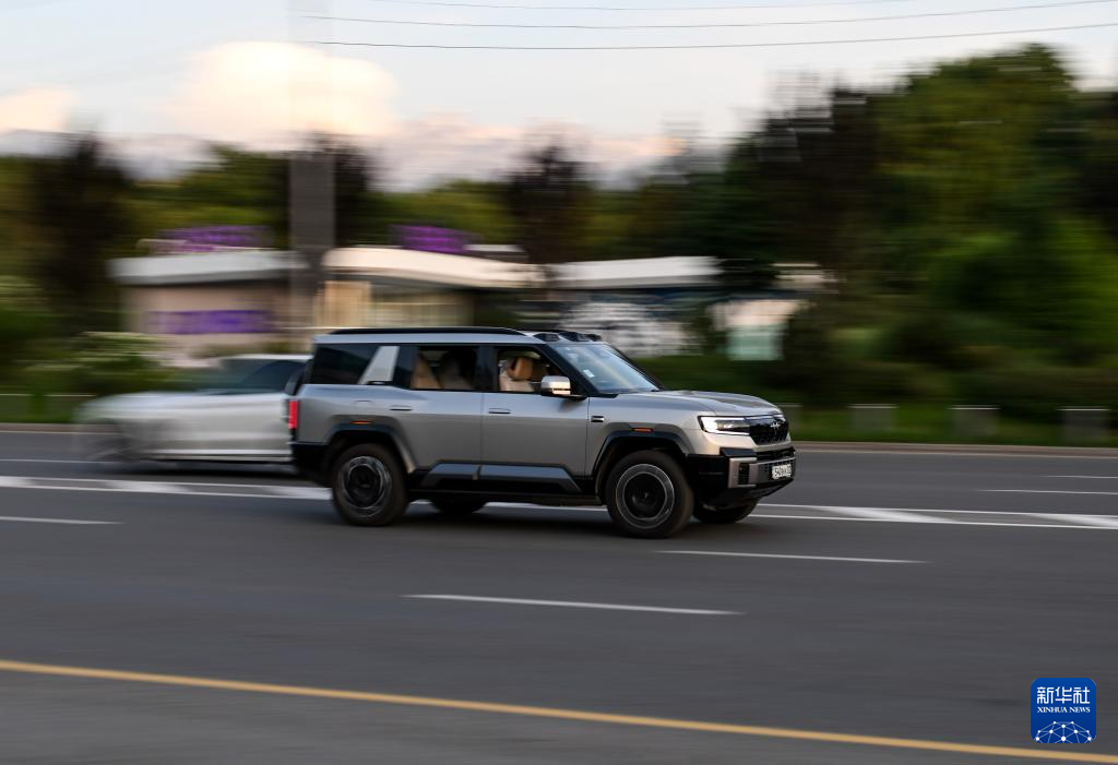 无码人妻少妇色欲AV一区二区