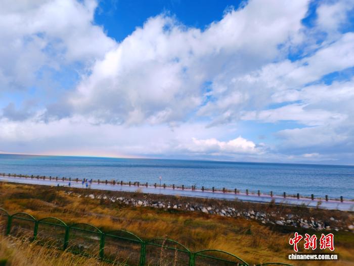 无码人妻少妇色欲AV一区二区