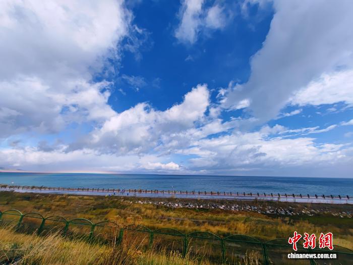 无码人妻少妇色欲AV一区二区