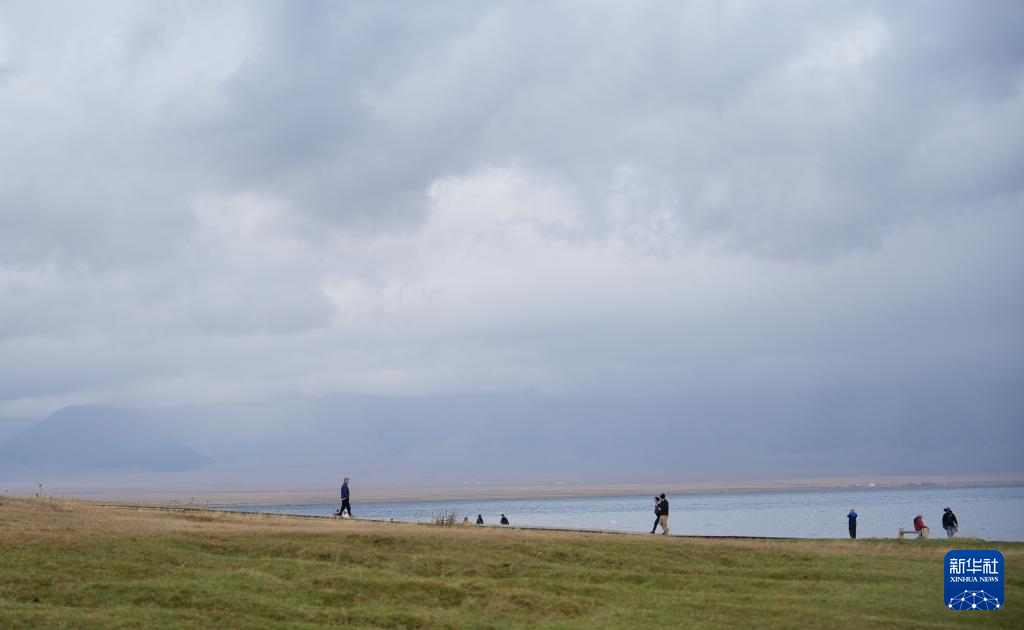 无码人妻少妇色欲AV一区二区