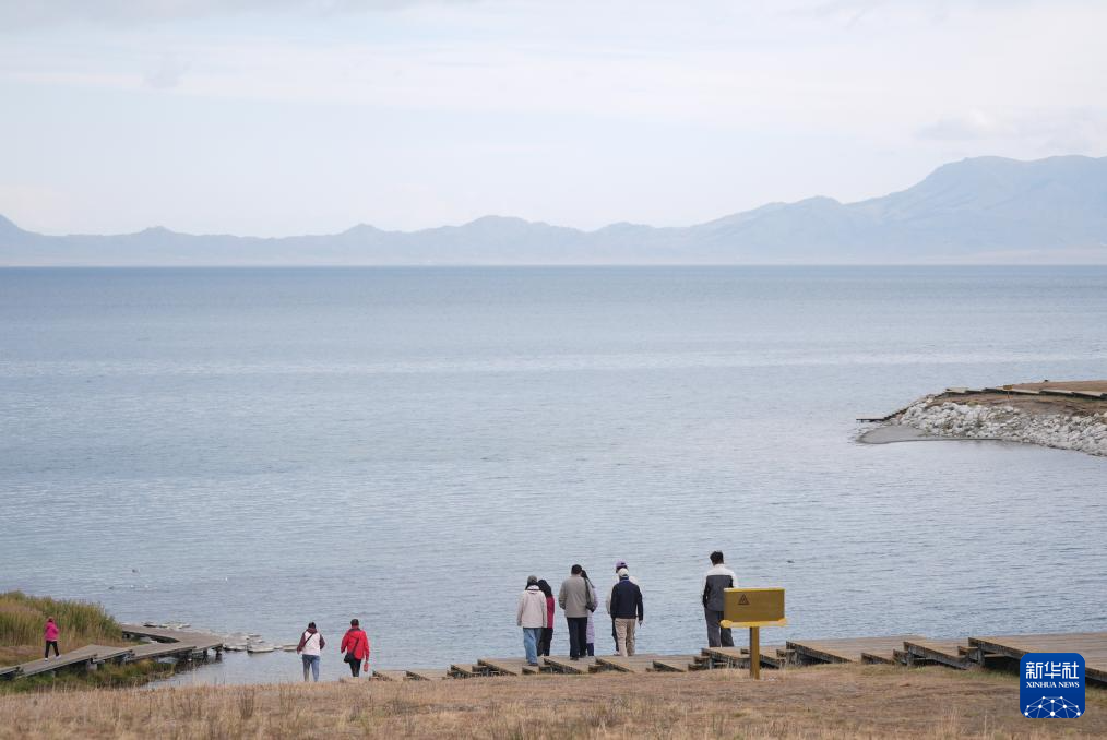 无码人妻少妇色欲AV一区二区