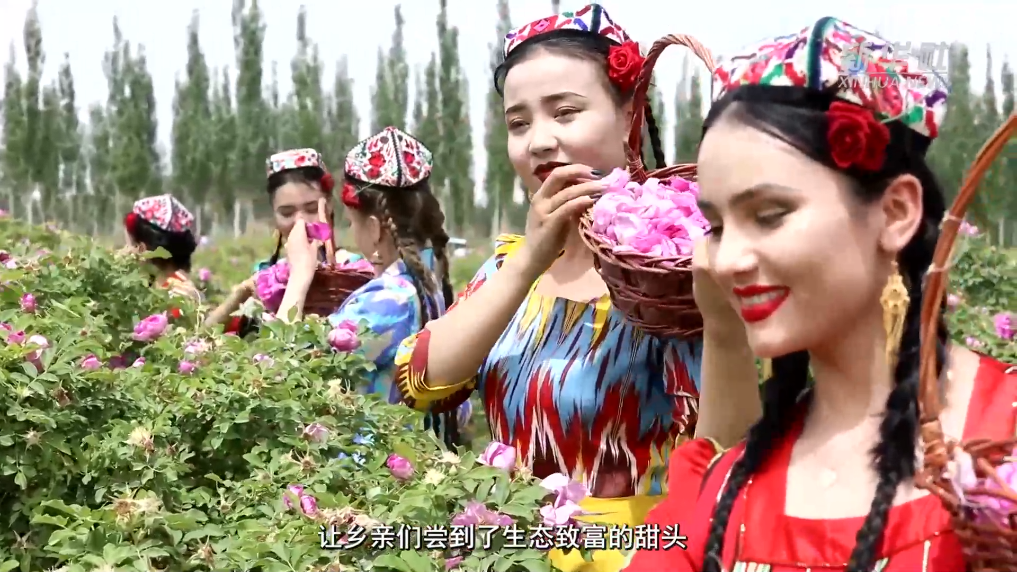 无码人妻少妇色欲AV一区二区