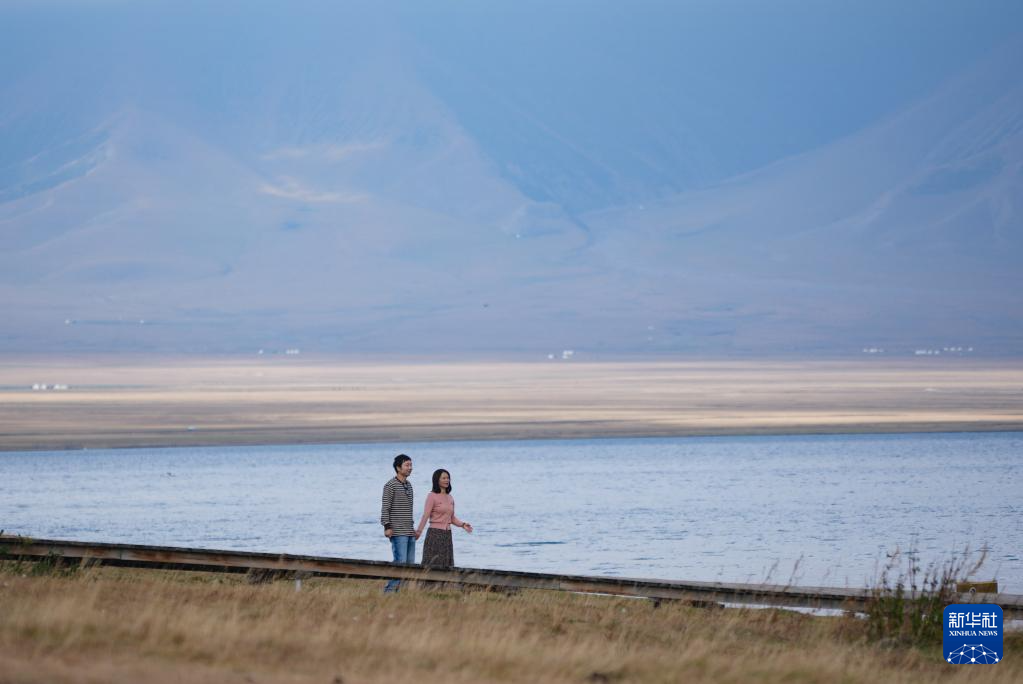 无码人妻少妇色欲AV一区二区