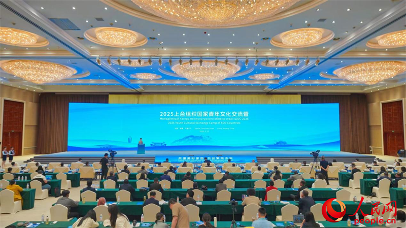 无码人妻少妇色欲AV一区二区