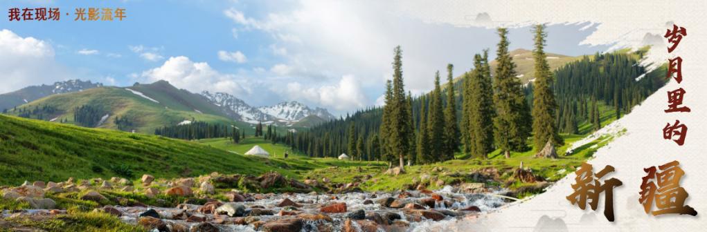 无码人妻少妇色欲AV一区二区