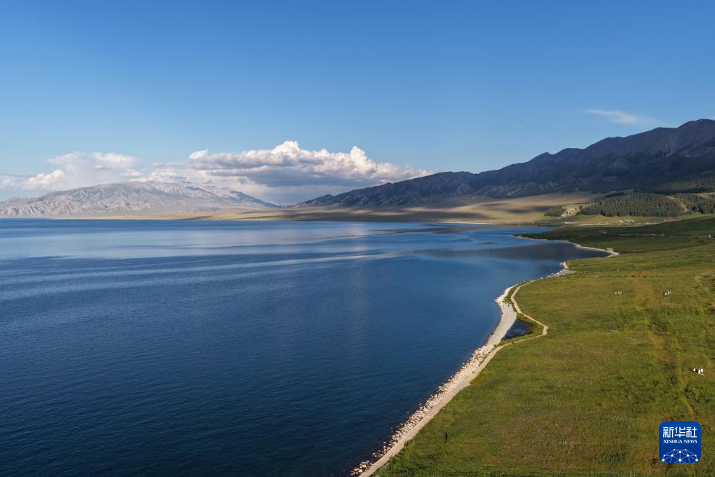 无码人妻少妇色欲AV一区二区