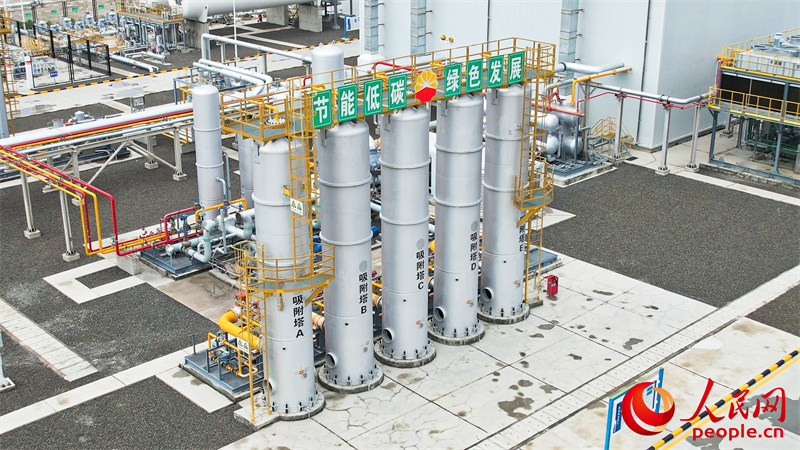 无码人妻少妇色欲AV一区二区