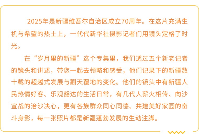 无码人妻少妇色欲AV一区二区