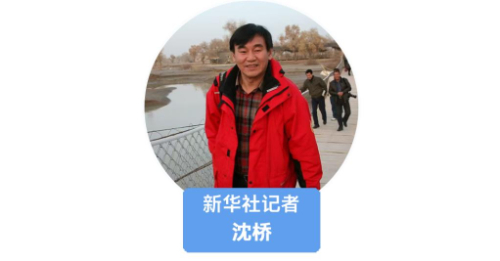 无码人妻少妇色欲AV一区二区