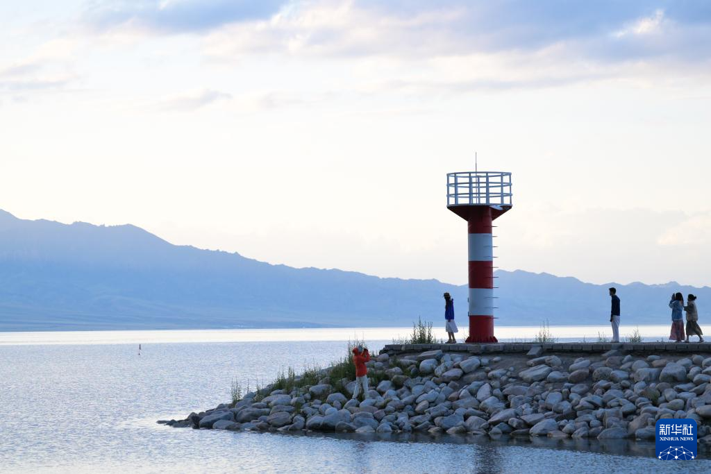 无码人妻少妇色欲AV一区二区