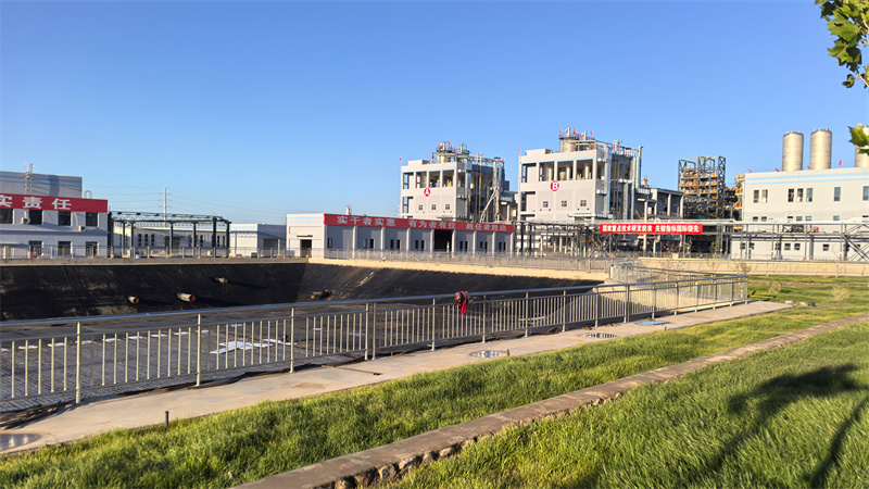 无码人妻少妇色欲AV一区二区