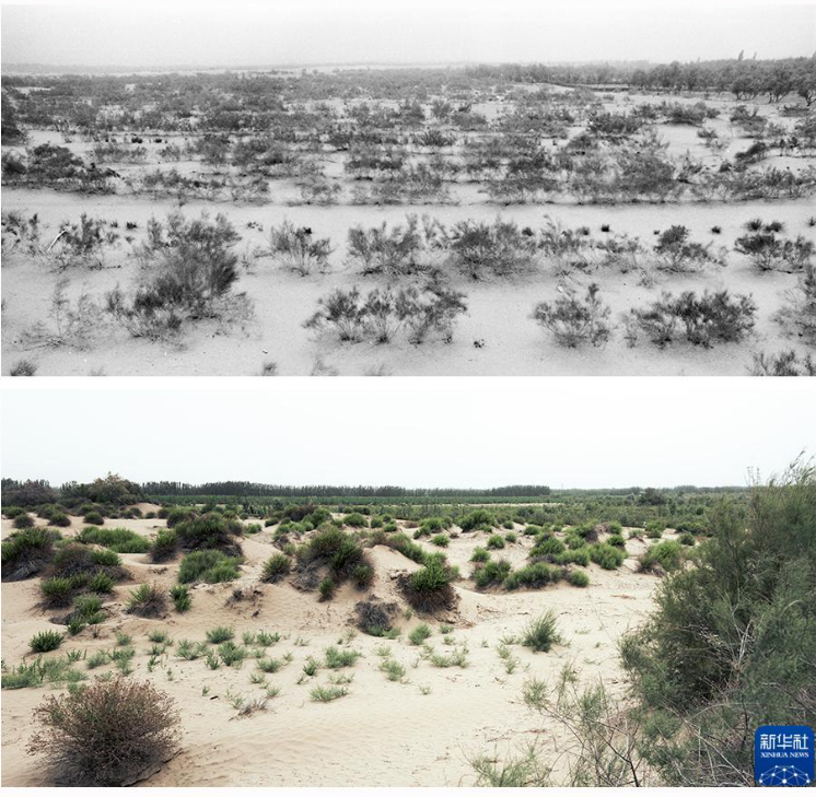 无码人妻少妇色欲AV一区二区