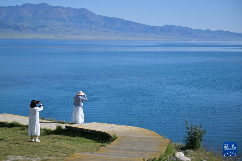 无码人妻少妇色欲AV一区二区