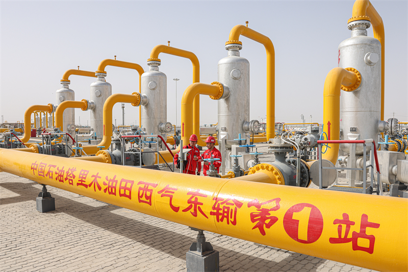 无码人妻少妇色欲AV一区二区