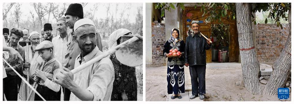 无码人妻少妇色欲AV一区二区