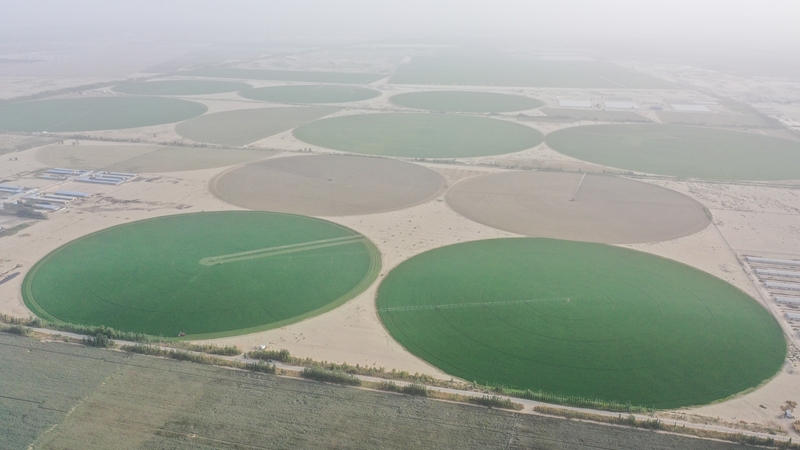 无码人妻少妇色欲AV一区二区