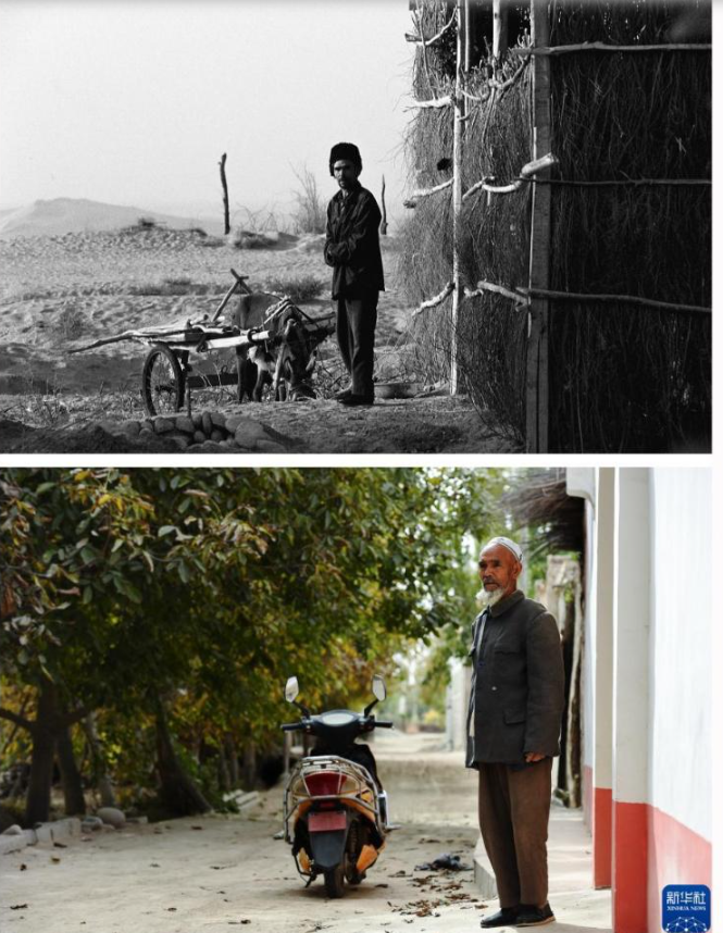 无码人妻少妇色欲AV一区二区