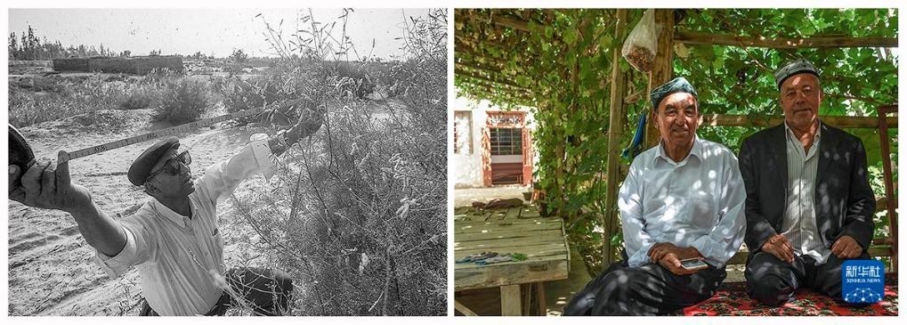 无码人妻少妇色欲AV一区二区