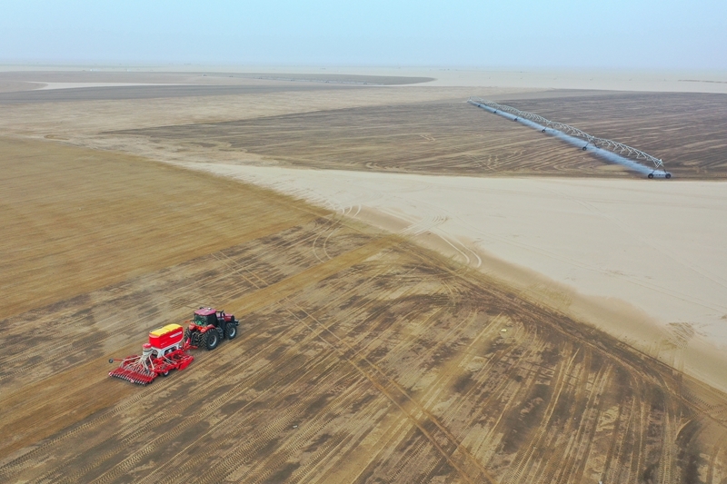 无码人妻少妇色欲AV一区二区