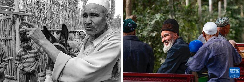 无码人妻少妇色欲AV一区二区