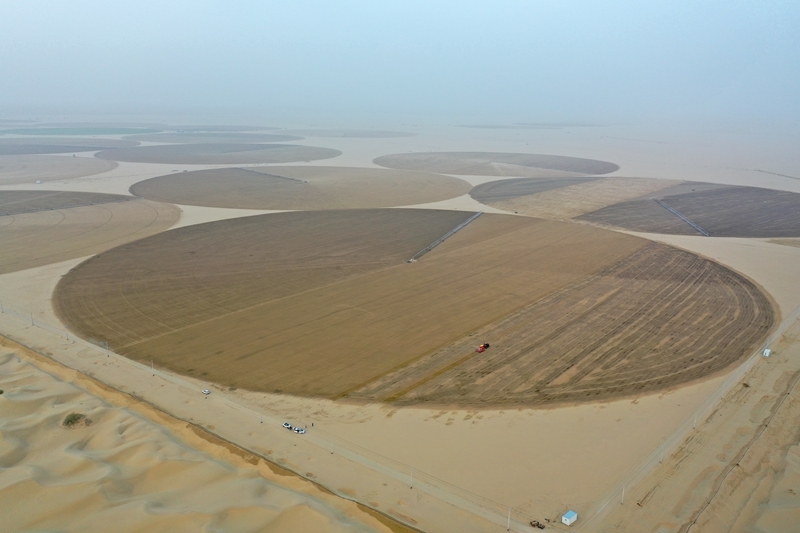 无码人妻少妇色欲AV一区二区