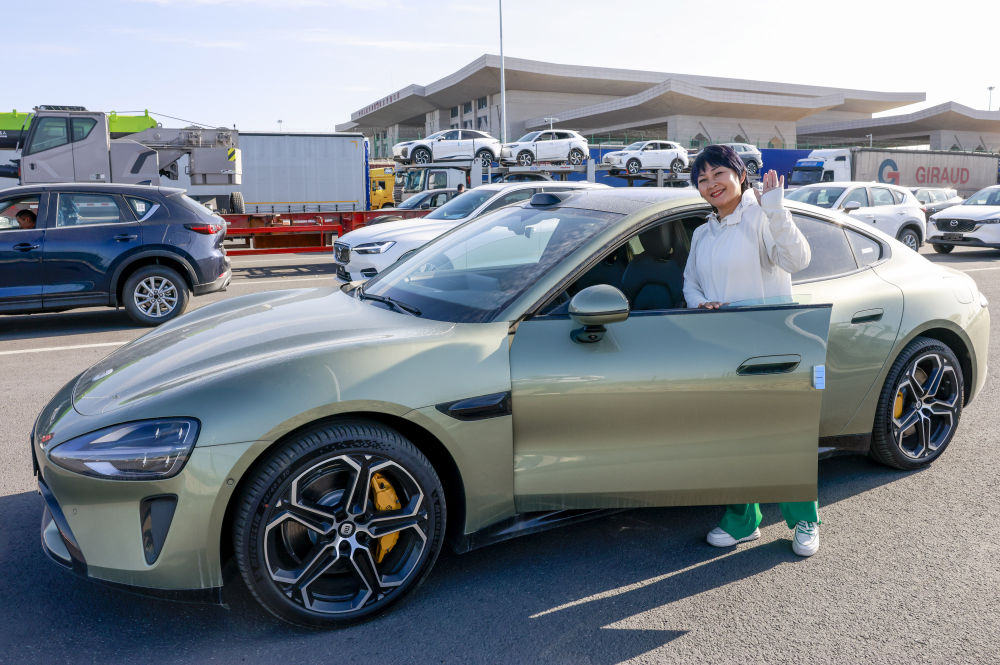 无码人妻少妇色欲AV一区二区