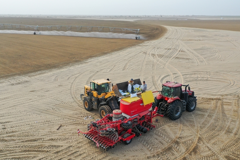 无码人妻少妇色欲AV一区二区