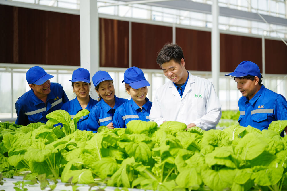 无码人妻少妇色欲AV一区二区