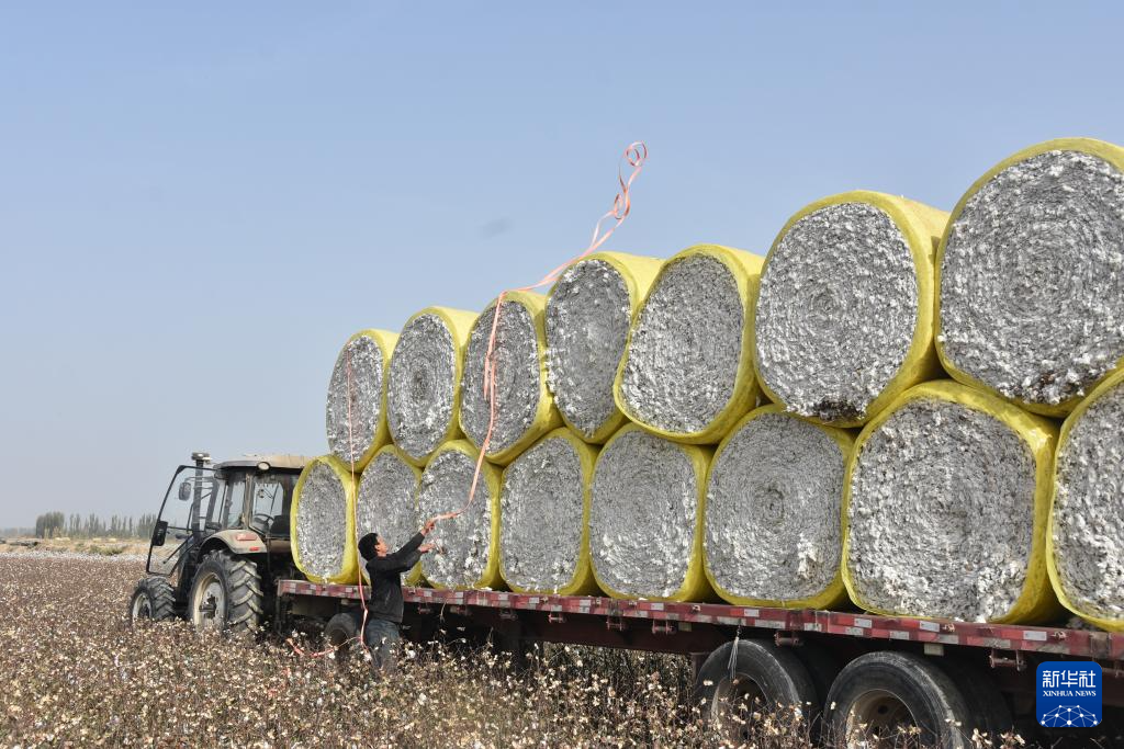 无码人妻少妇色欲AV一区二区