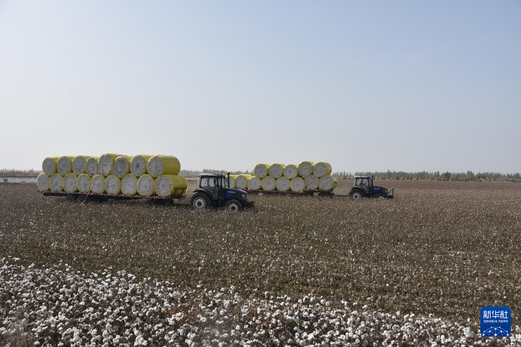 无码人妻少妇色欲AV一区二区