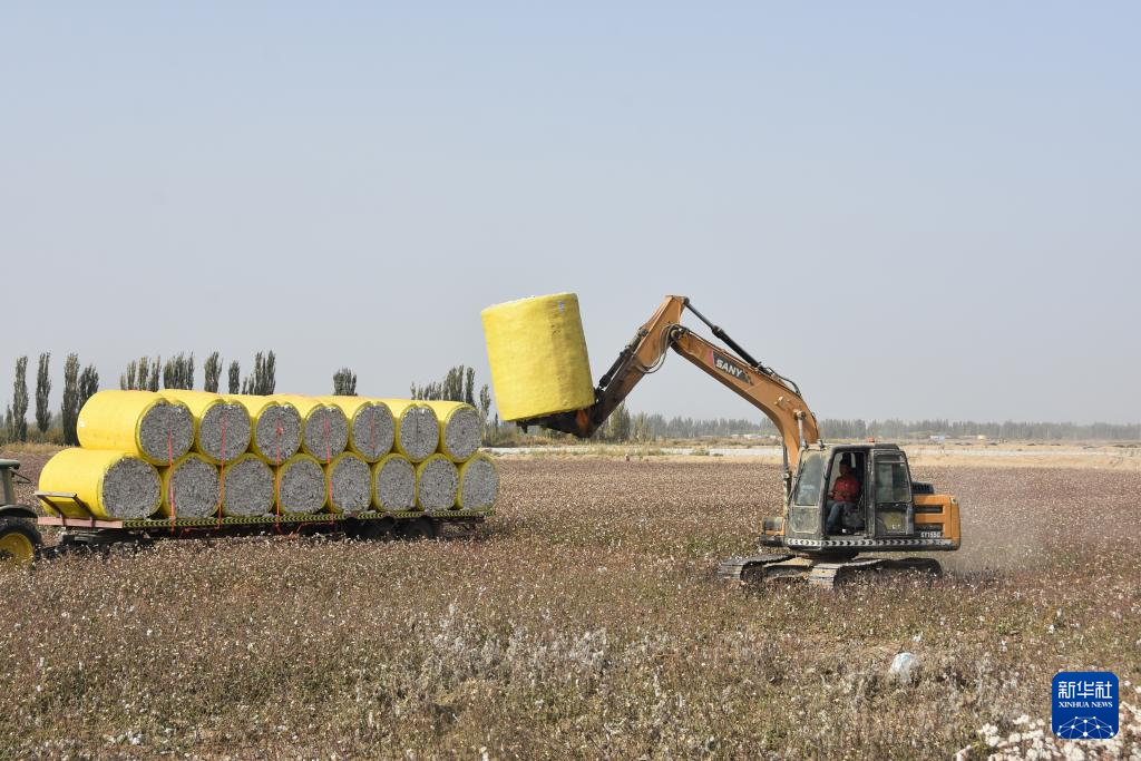 无码人妻少妇色欲AV一区二区