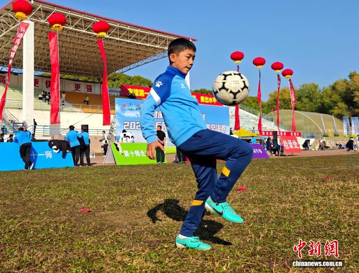 无码人妻少妇色欲AV一区二区