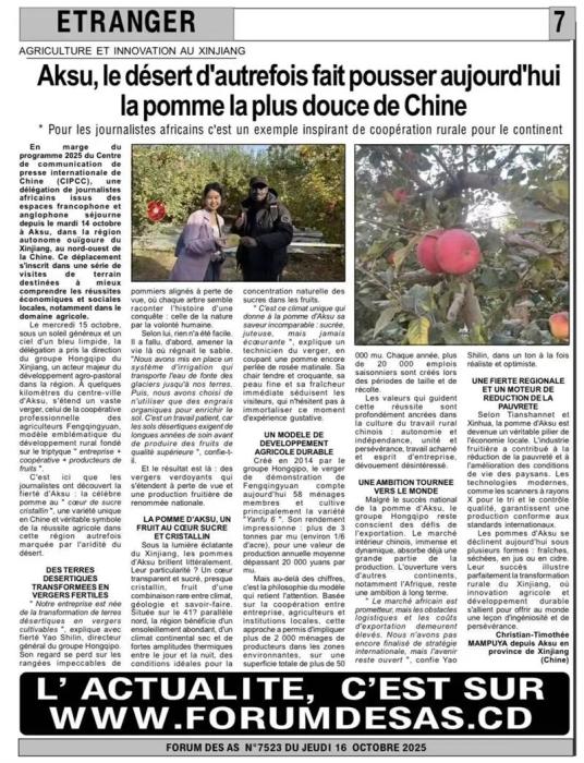 无码人妻少妇色欲AV一区二区