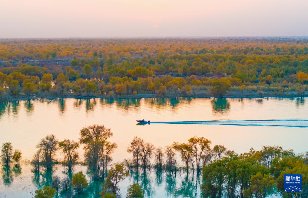 无码人妻少妇色欲AV一区二区