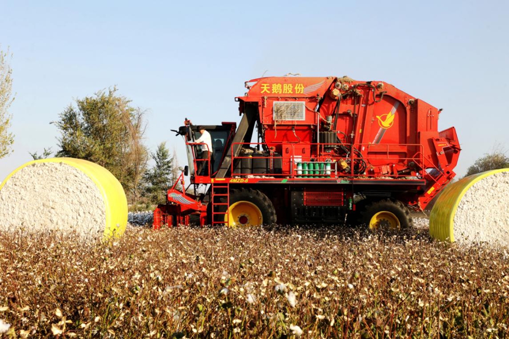 无码人妻少妇色欲AV一区二区