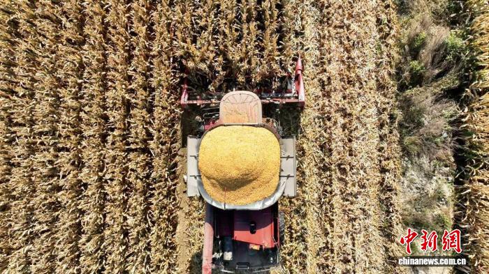 无码人妻少妇色欲AV一区二区