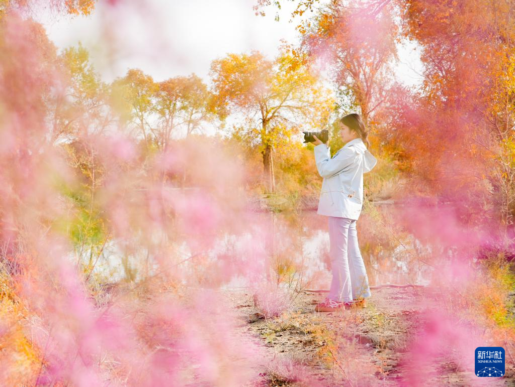 无码人妻少妇色欲AV一区二区