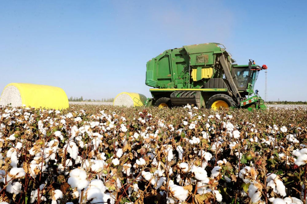 无码人妻少妇色欲AV一区二区