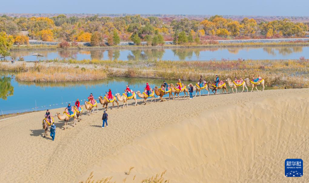 无码人妻少妇色欲AV一区二区