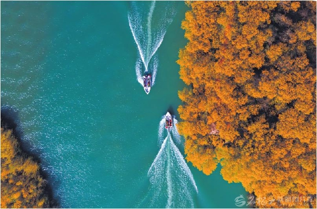 无码人妻少妇色欲AV一区二区