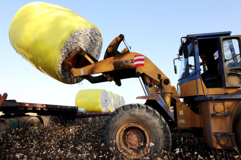无码人妻少妇色欲AV一区二区