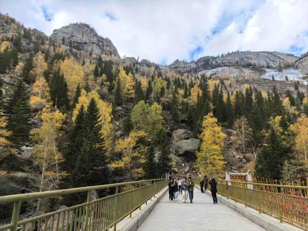 无码人妻少妇色欲AV一区二区