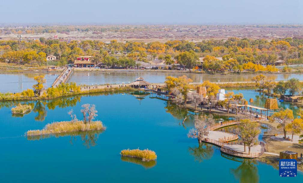 无码人妻少妇色欲AV一区二区