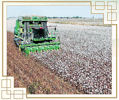 无码人妻少妇色欲AV一区二区