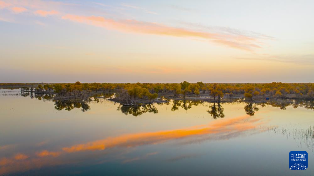 无码人妻少妇色欲AV一区二区