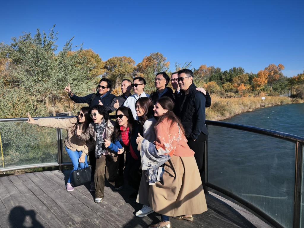 无码人妻少妇色欲AV一区二区