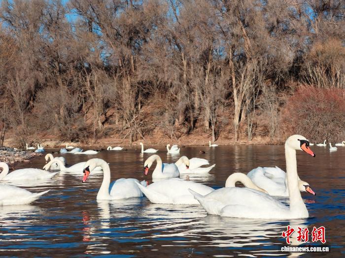 无码人妻少妇色欲AV一区二区