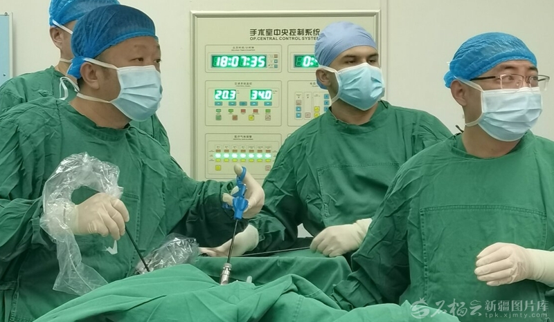 无码人妻少妇色欲AV一区二区